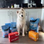 Dog Food Samoyeds: What Actually Works for This Breed