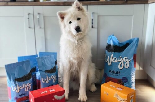 Dog Food Samoyeds