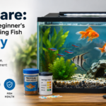 Fish Care: A Complete Beginner’s Guide to Keeping Fish Healthy