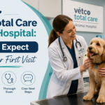 Vetco Total Care Animal Hospital: What to Expect Before Your First Visit