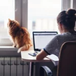 What I Wish I’d Known Before Booking Home Euthanasia for My Cat in Melbourne