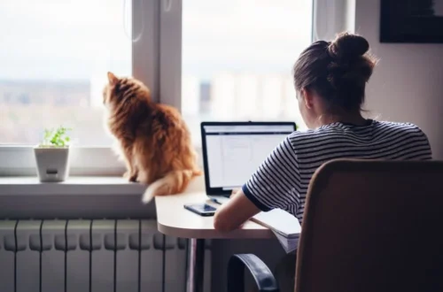 What I Wish I'd Known Before Booking Home Euthanasia for My Cat in Melbourne