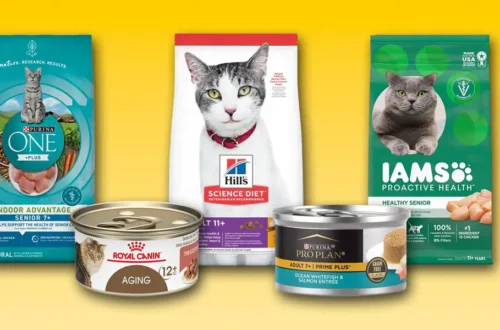 senior cat food