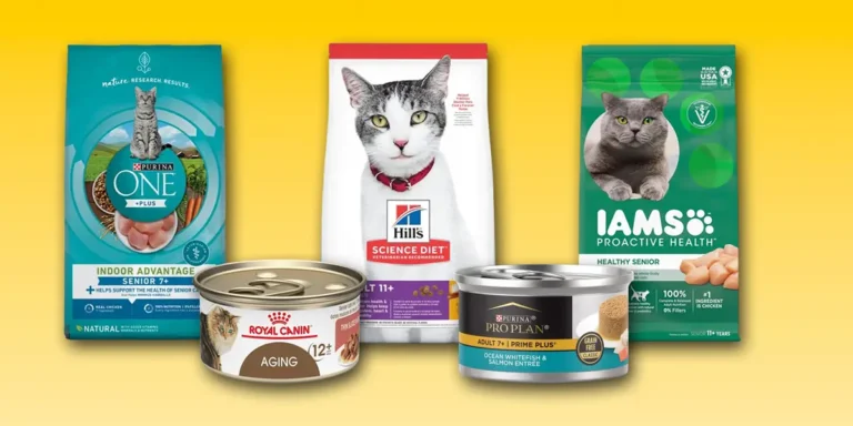 senior cat food