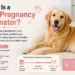 Dog Pregnancy Estimator – Calculate Your Dog’s Expected Due Date