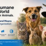Humane World for Animals: What the New Name Means and What the Group Actually Does