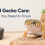 Leopard Gecko Care: Everything You Need to Know Before (and After) You Bring One Home