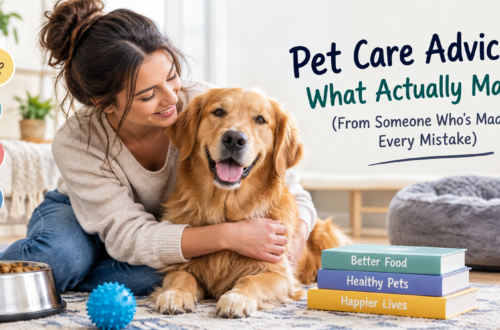 Pet care advice for keeping dogs healthy, happy, and well cared for