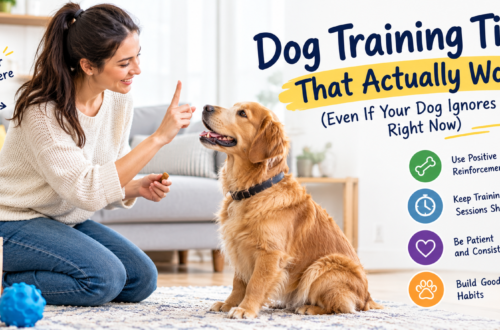 Dog training tips that actually work for better behavior and obedience